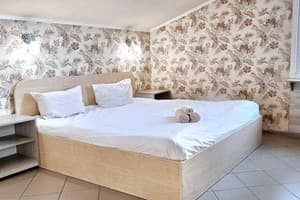 Lisova - отель и сауна 4