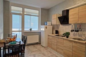 Квартира проспект Европейского Союза, 41. Апартаменты двухместный 12 этаж 12